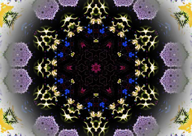 Beautiful Pattern Art