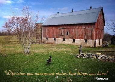 Home Quote w Dog and Barn