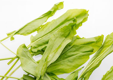 Bunch of green sorrel