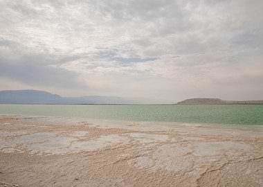 The Dead Sea