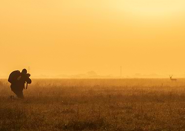 Wildlife Photographer