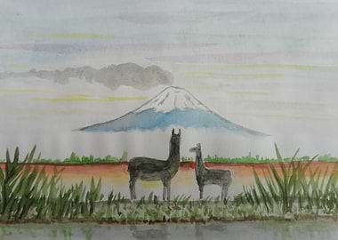 Llamas and volcano