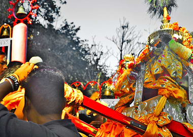image of sem naagraja doli