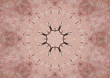 abstract mandal texture