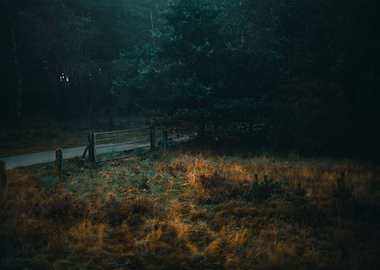 Forest Gate in the Fog