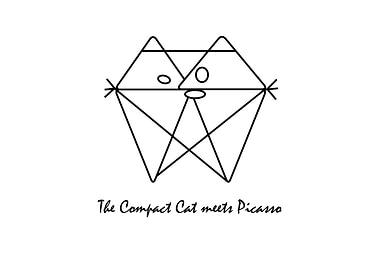 The Compact Cat Picasso