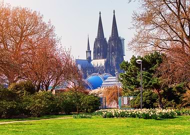 Kolner Dom Rheinpark Koln