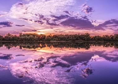 Purple Sunset