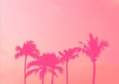 Pink palm tree silhouette