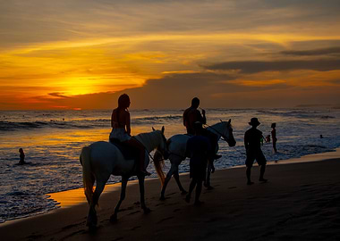Horse ride on the beach