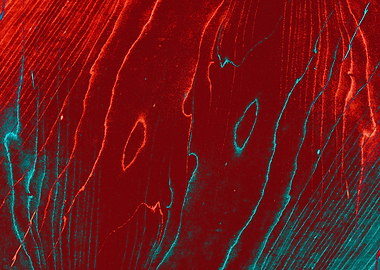 Red and blue wave abstract