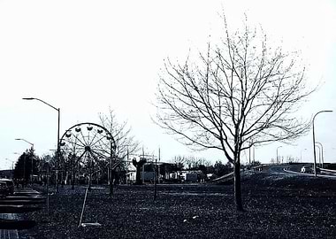 Midway in Silhouette