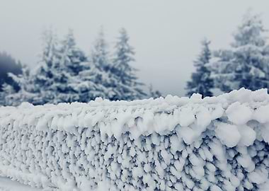 fence frost