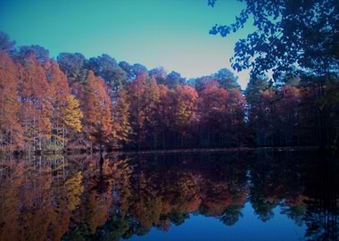 autumn at the lake