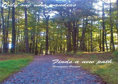 transcendental traveler