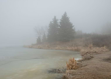 Lakeside Misty Morning