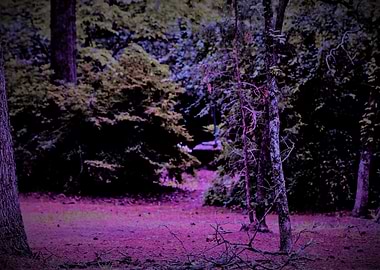 Entrance to a Fantasy