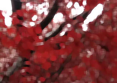 Red Paint ContemporaryArt5