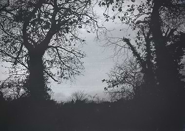 Silhouettes in winter