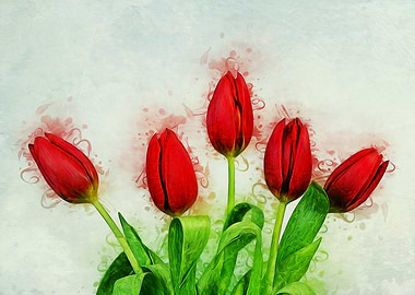 Red Tulips