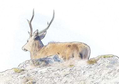Watercolour Stag 3