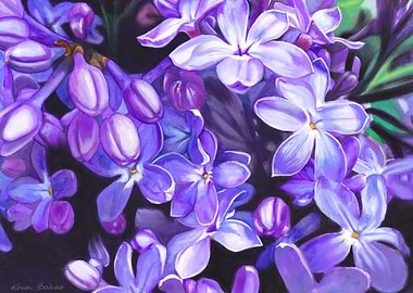 Lilac painting