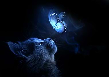 Cat Look up at Butterfly