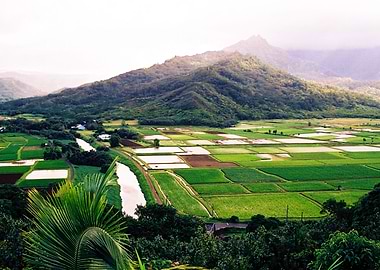 Hanalei Valley