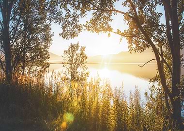 Magical Morning in Norway