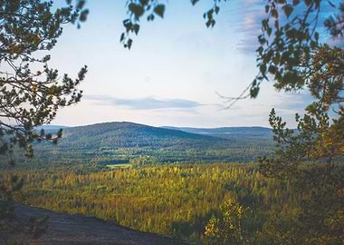 Perfect Morning in Lapland