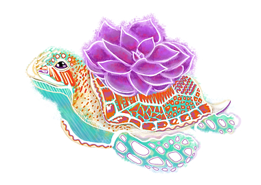 Sea Turtle Succulents