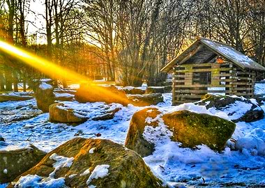 Sunny winter day in a park