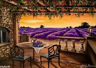Lavender Of Provence