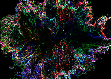 Illustration Color Art