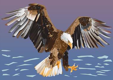 Bald Eagle Vector