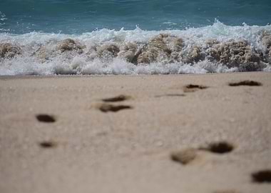 Sand prints
