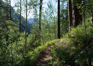 Canyon Trail Mountain View