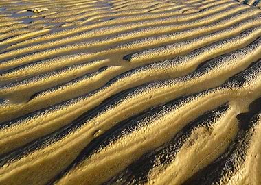 Low Tide Borocay Cebu PI