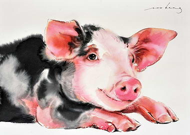 Prosperity Pig3