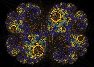 Queen Of The Coral Reef