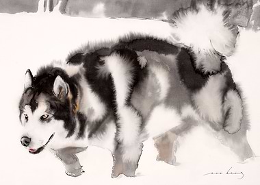 Alaskan Malamute