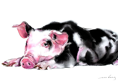 Double Prosperity Pig