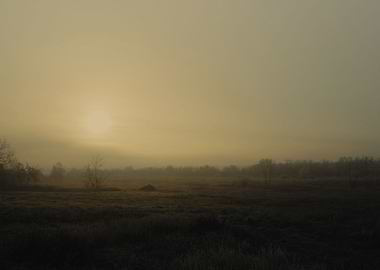 Foggy autumn morning