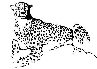 Lying cheetah