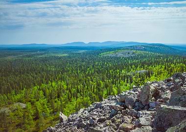Green Lapland