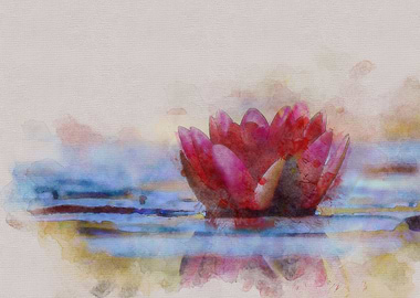 Red Watercolour Water Lily