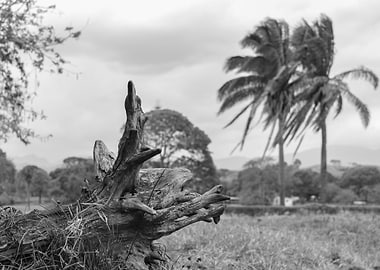 landscape in venezuela