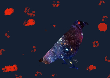 universe crow