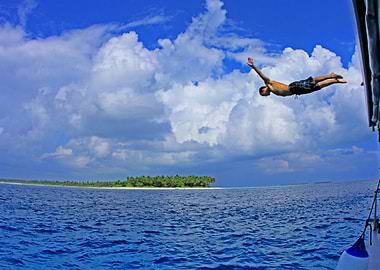 Paradise Diving
