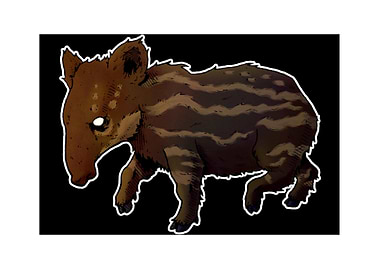 Mountain tapir